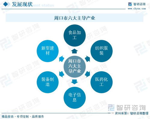 河南周口市新質生產力 產業體系構建取得新突破,主導優勢產業集聚