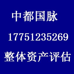 鹽城股權轉讓評估與企業咨詢服務 整體資產價值的關鍵解析